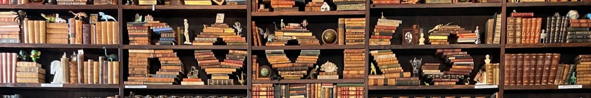 Verbatim Books inside San Diego bookshop